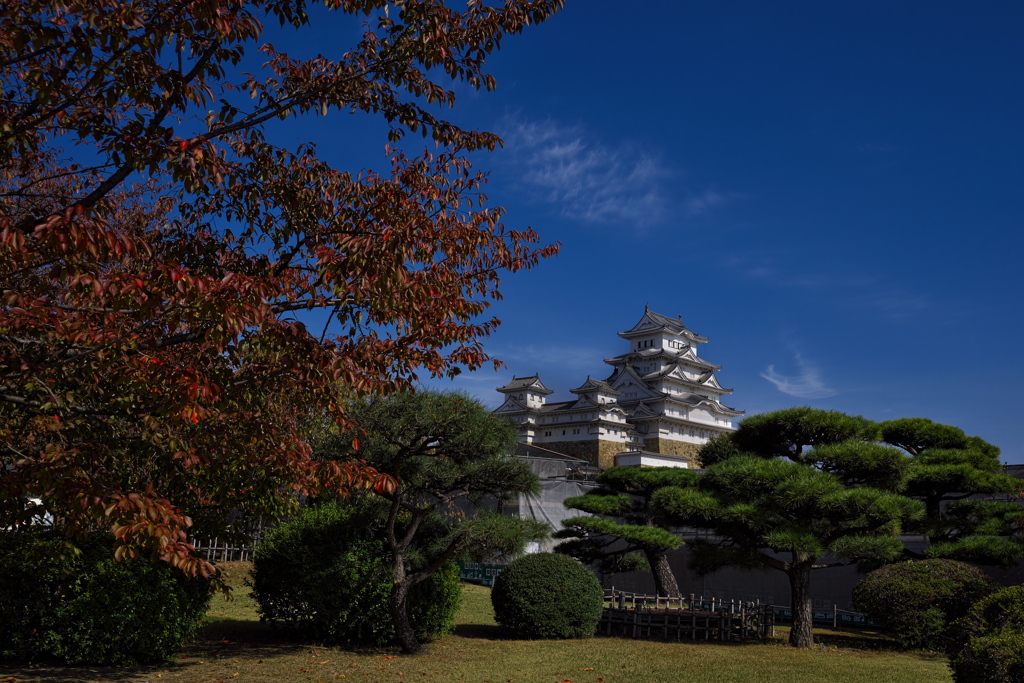 晩秋の姫路城天守２