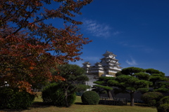 晩秋の姫路城天守２