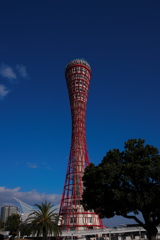 メリケンパークにて２（ポートタワー昼景）