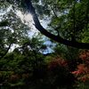 榛原鳥見山公園にて１