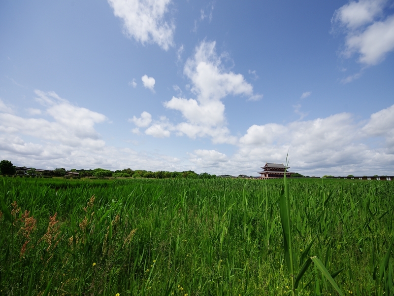 平城宮跡（大極殿）