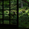 緑の世界（三千院有清園）