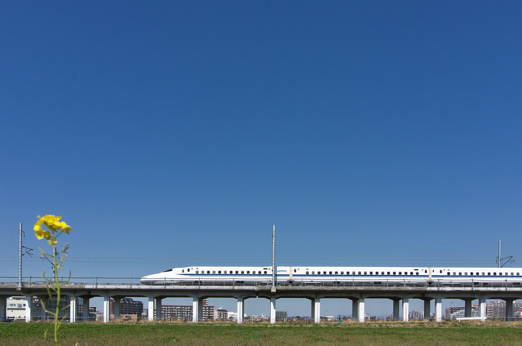 青空と菜の花とＮ７００系