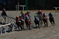 園田競馬場にて２
