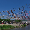 １０００匹のこいのぼり１