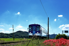 北条鉄道と彼岸花１