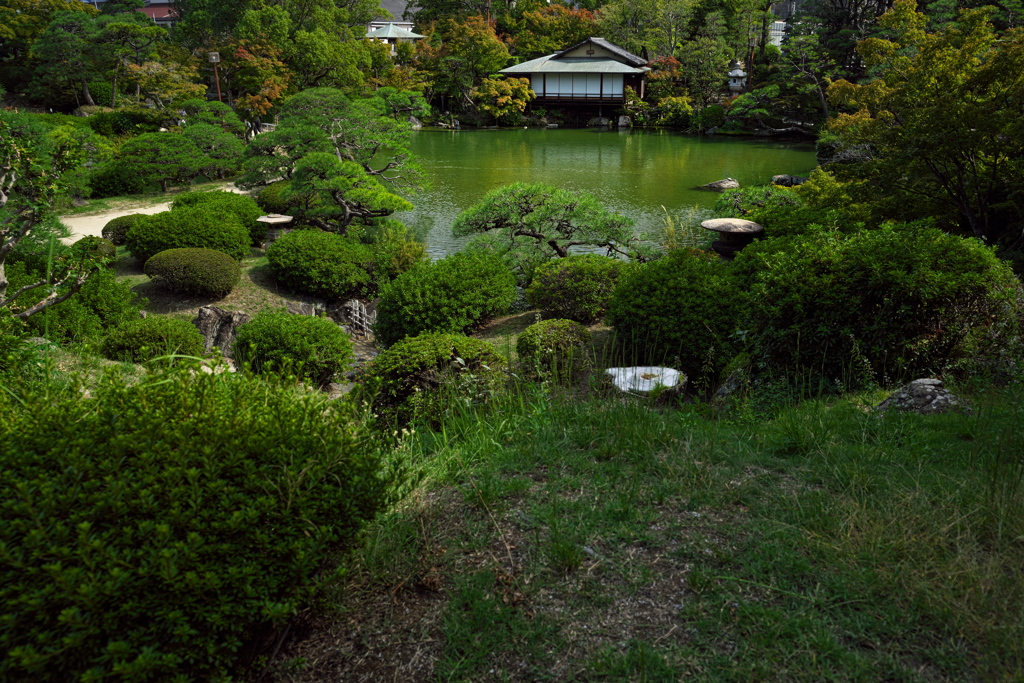 相楽園にて３（日本庭園）