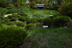 相楽園にて３（日本庭園）