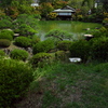 相楽園にて３（日本庭園）