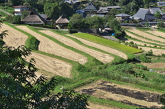 里山の風景２（長谷の棚田）