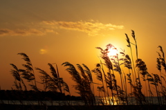 冬の播磨灘に沈む夕日１７