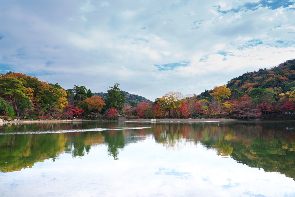 再度（ふたたび）公園の修法ケ原（しおがはら）池１