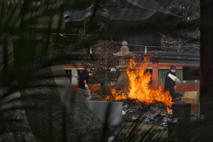 小正月の住吉神社にて１（どんと焼き）