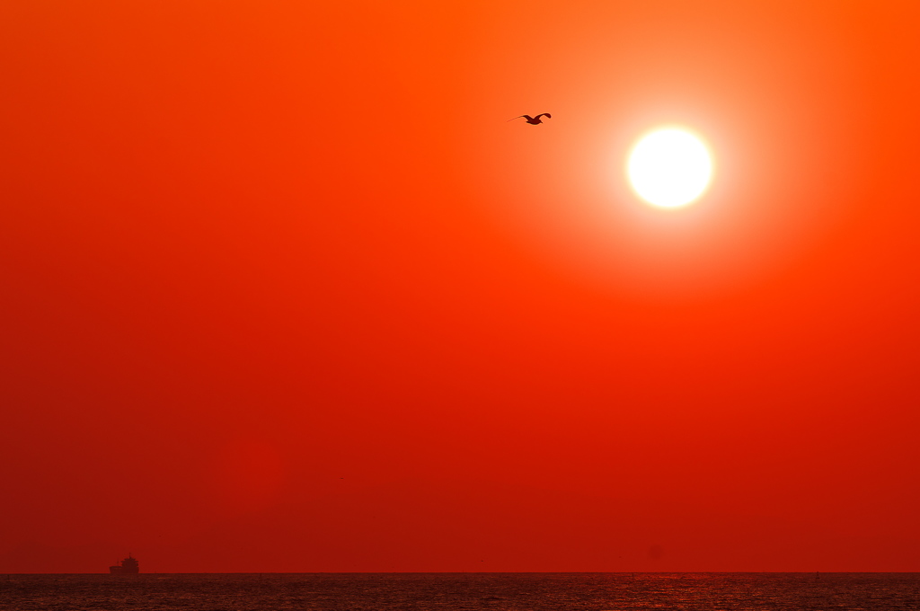 冬の播磨灘に沈む夕日１８