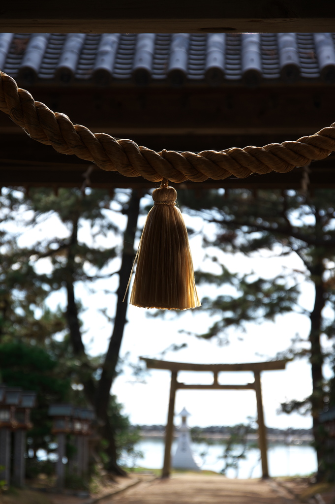 初冬の住吉神社にて