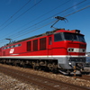 貨物列車「ＲＥＤ ＴＨＵＮＤＥＲ」