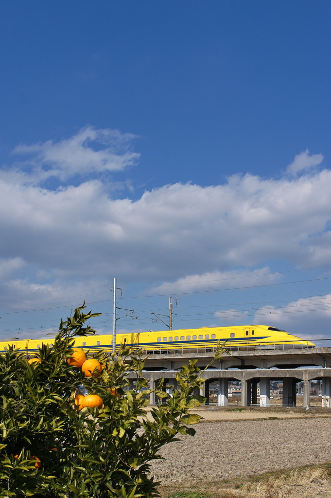寒空を行くドクターイエロー