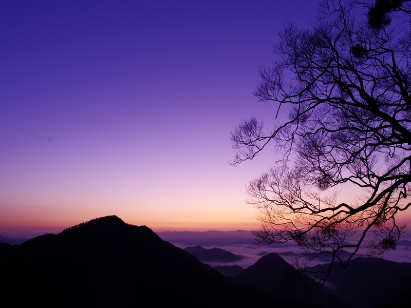 大江山の雲海１
