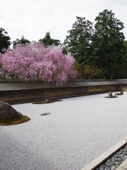 京都お寺の風景２