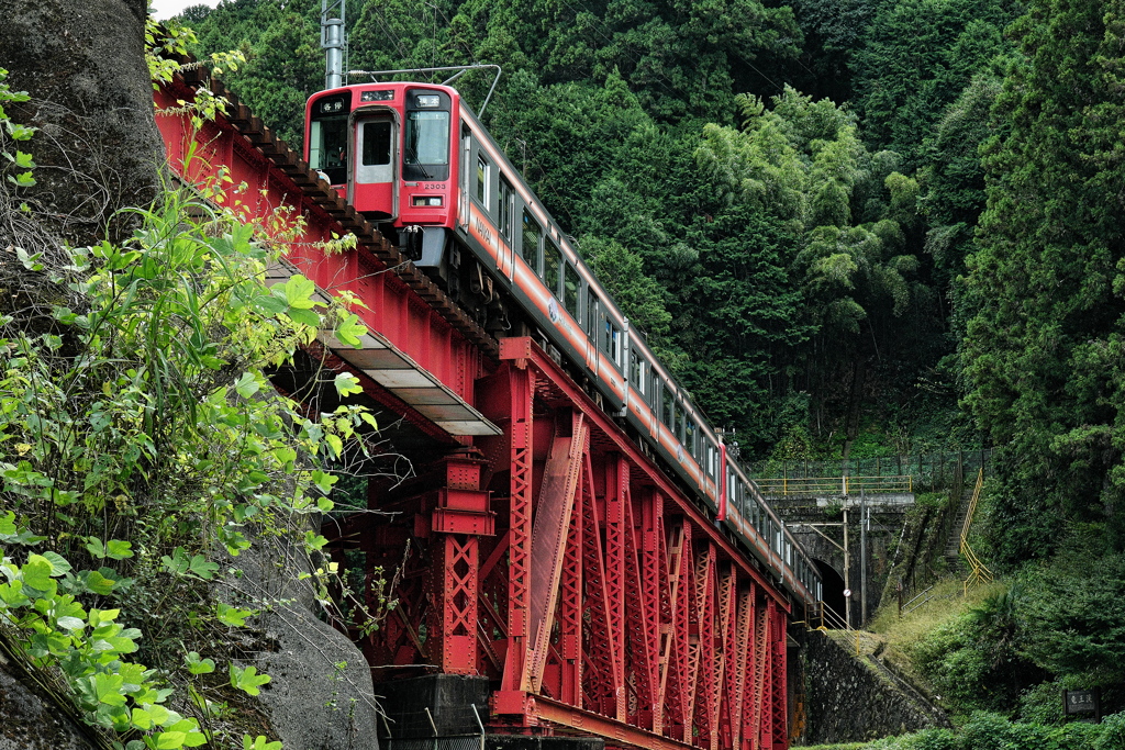 龍王渓を行く南海電鉄高野線（２３００系）