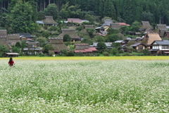 京都美山かやぶきの里２