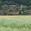 京都美山かやぶきの里２