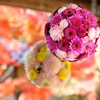 光明寺の花手水１
