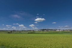 初秋の田園風景１