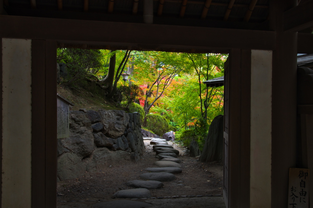 和歌山城西の丸庭園の紅葉
