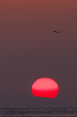 冬の播磨灘に沈む夕日１９