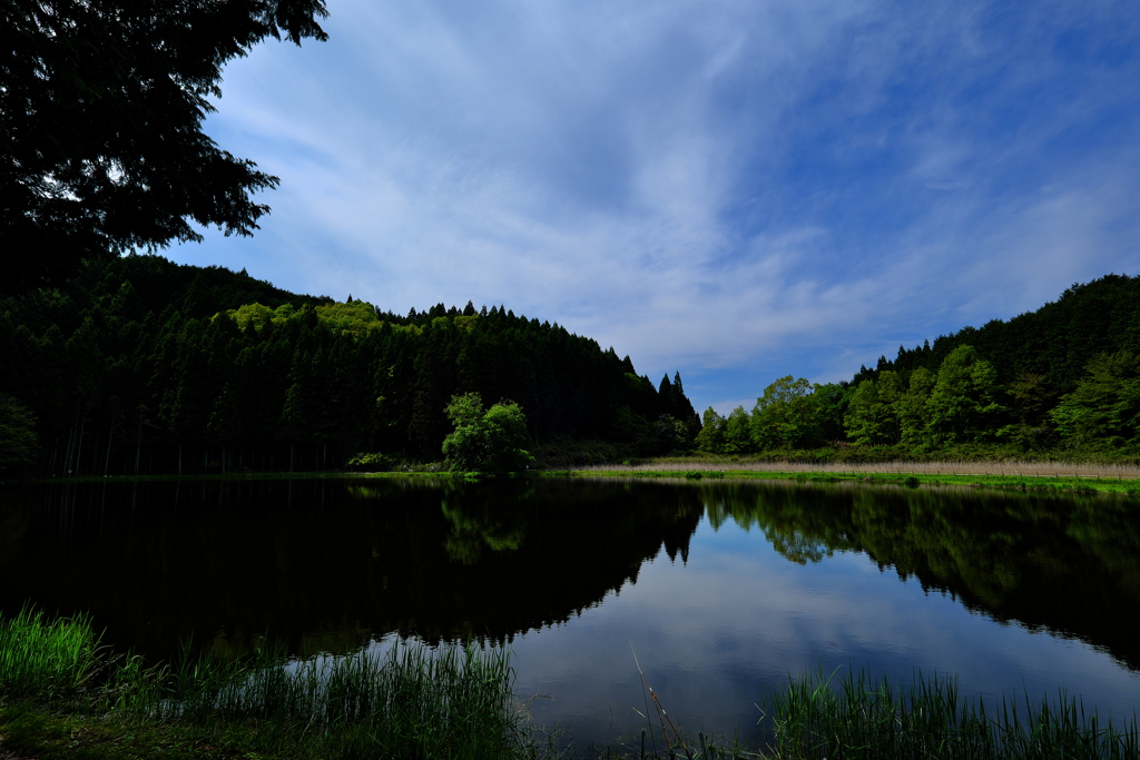 龍王ケ渕の水鏡１