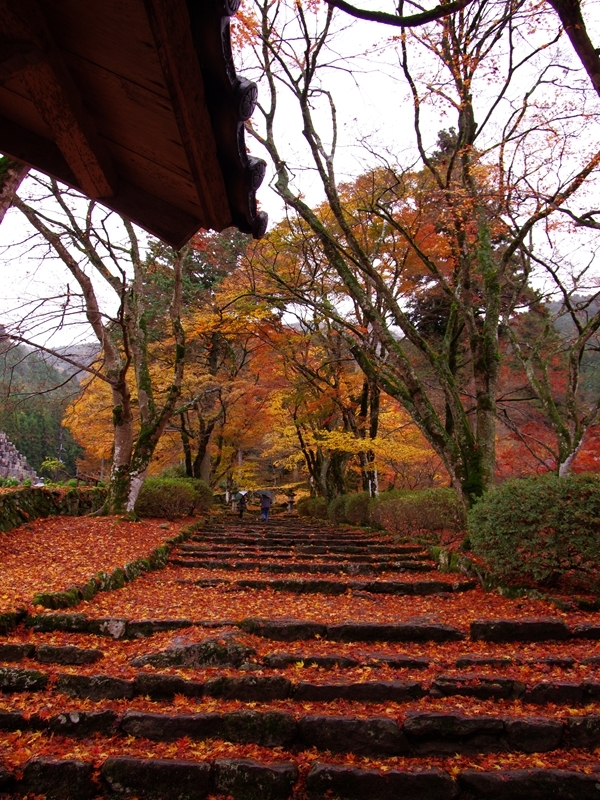 高源寺の紅葉１