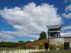 兵庫県立考古博物館にて（展望台）