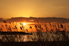 播磨灘の夕景２