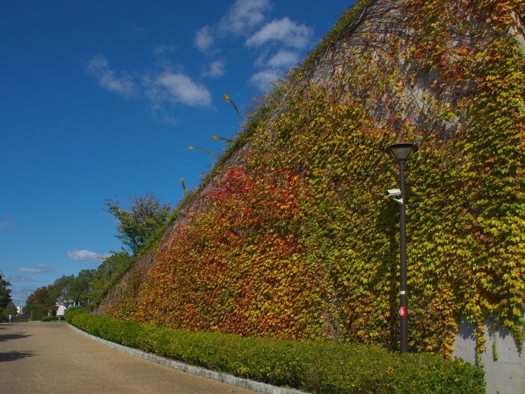 兵庫県立考古博物館にて（蔦）