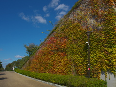 兵庫県立考古博物館にて（蔦）