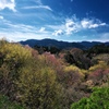 西吉野鹿場（ししば）の桃源郷１