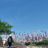 １０００匹のこいのぼり１