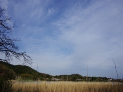 桜巡り５（広沢池）