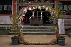住吉神社の夏越の大祓（茅の輪）２