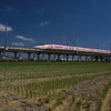 中秋を行くＮ５００系ハローキティ新幹線