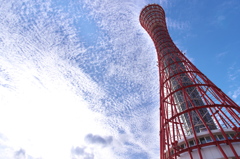 神戸ポートタワー１（昼景）