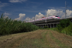 溜池土手を行くハローキティ