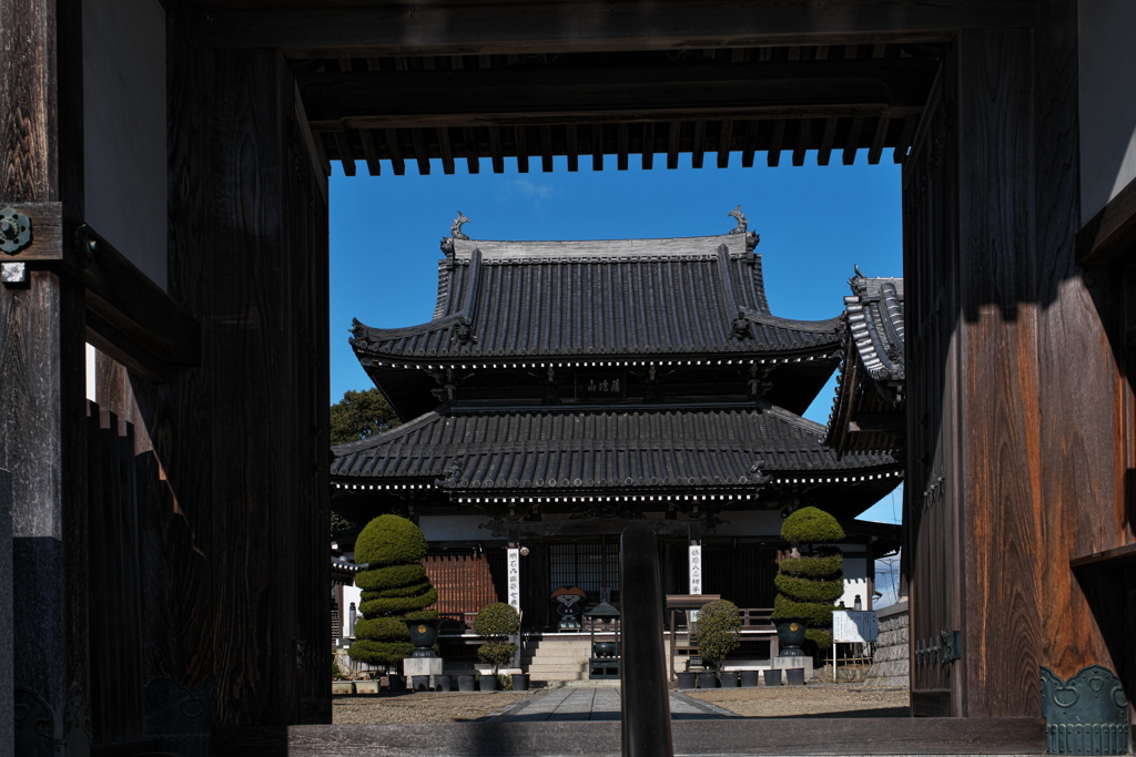 新春の薬師院（本堂）