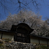 常照皇寺（じょうしょうこうじ）にて１