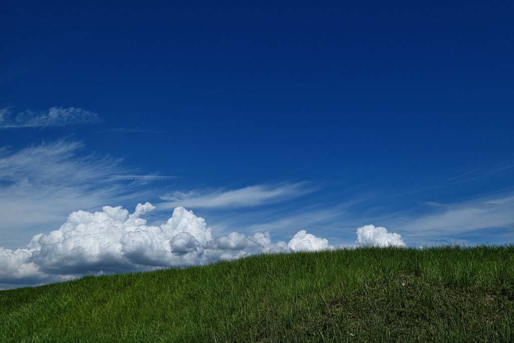 土手の上の夏雲１