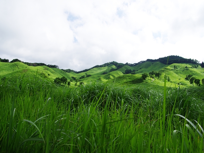 砥峰高原（とのみねこうげん）２