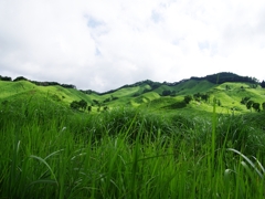 砥峰高原（とのみねこうげん）２