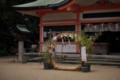 住吉神社の夏越の大祓（茅の輪）１