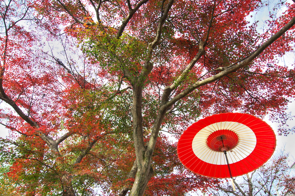 岡山紅葉探しの旅３（津山城跡）